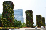 廣場公園景觀提升2