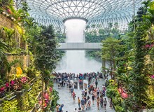 打造生態(tài)化公共空間，助力人文機場建設(shè)