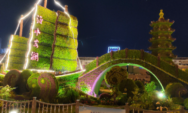 項目夜景展示