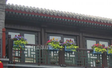 街道景觀提升-陽臺綠化