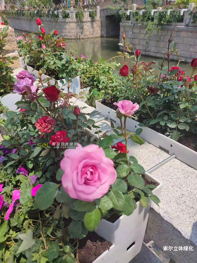 08公園景觀提升解決方案-東臺西溪景區河岸護欄美化.jpg