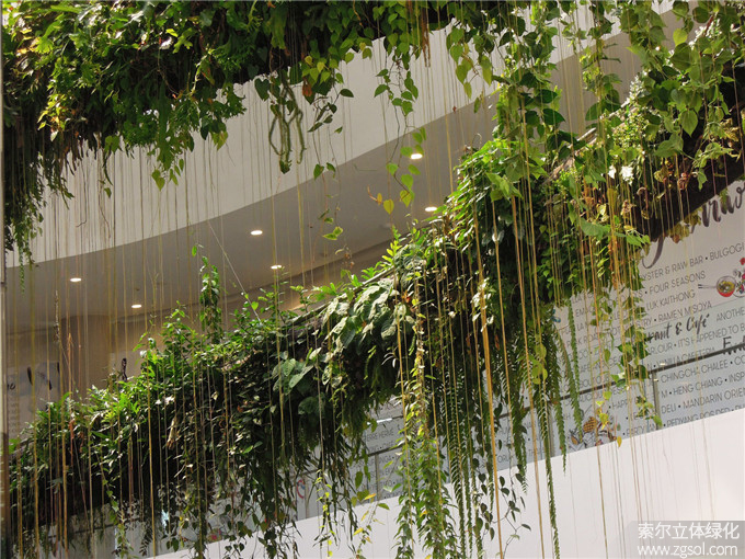 30室內空中花園.jpg