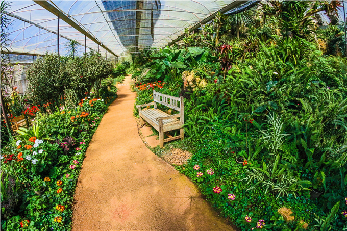 生態餐廳溫室花園 (6).jpg