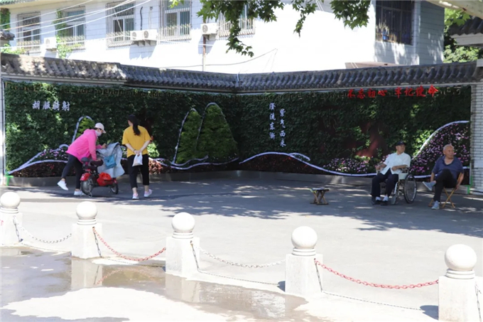 邯鄲首個“墻上花園”亮相，不但好看，還能降噪、除塵！ (3).jpg