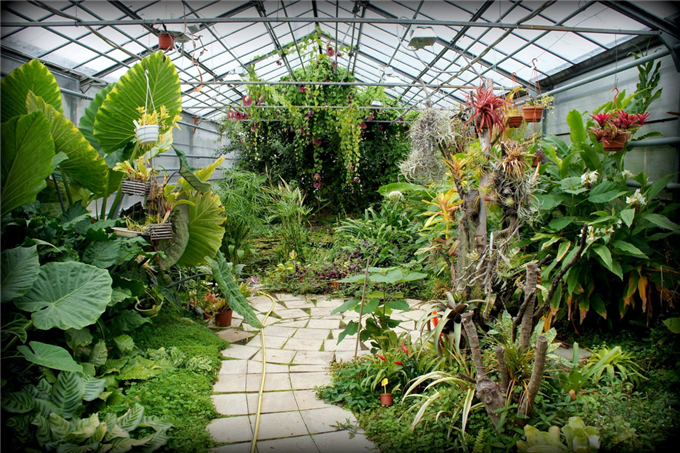 生態餐廳溫室花園 (26).jpg