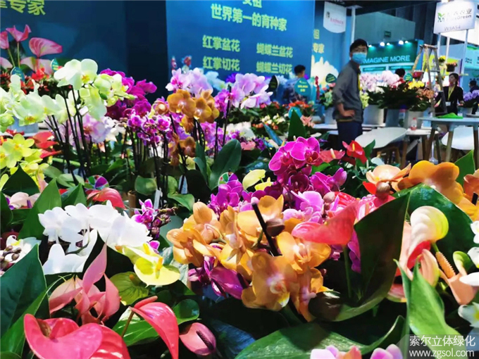 07 2021年4月15-17日第二十三屆中國國際花卉園藝展覽會上海.jpg