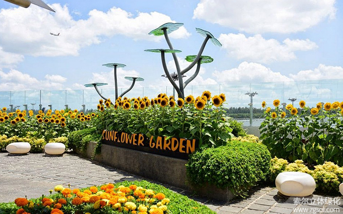 29新加坡樟宜機(jī)場(chǎng)屋頂花園向日葵花園 (2).jpg